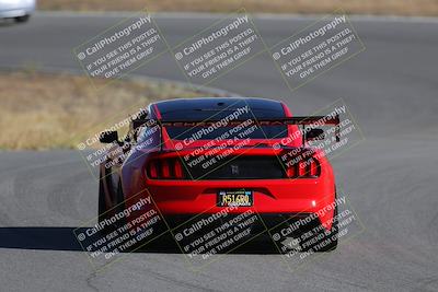 media/Nov-19-2023-Extreme Speed (Sun) [[bd0eec5490]]/Red/Back Shots/